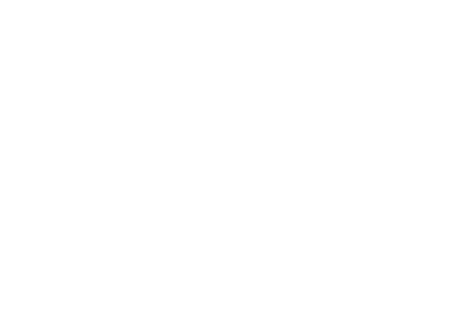 40' Spring Ride, Gooseneck