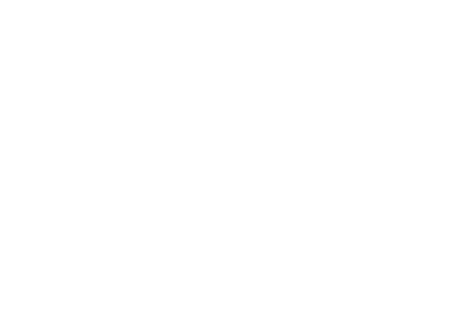 48' Spring-Ride, Swing-Door Trailer