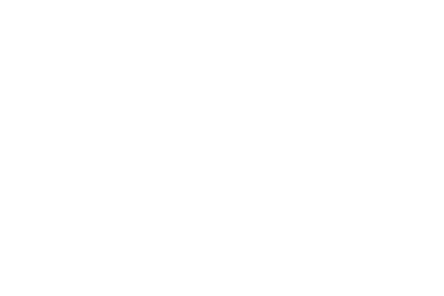 Spring-Ride, Swing-Door